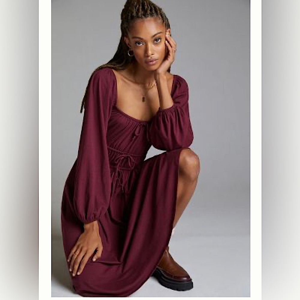 NWT Anthropologie Corseted MIDI Dress - Wine size Small
